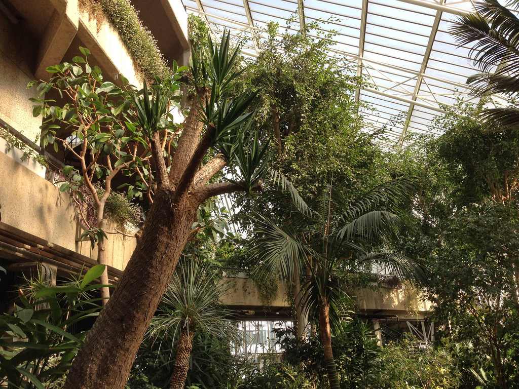 Barbican Conservatory Photo@ © Diamond Geezer