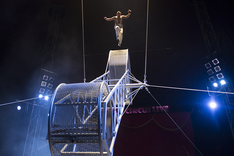 Zippos Circus at Winter Wonderland