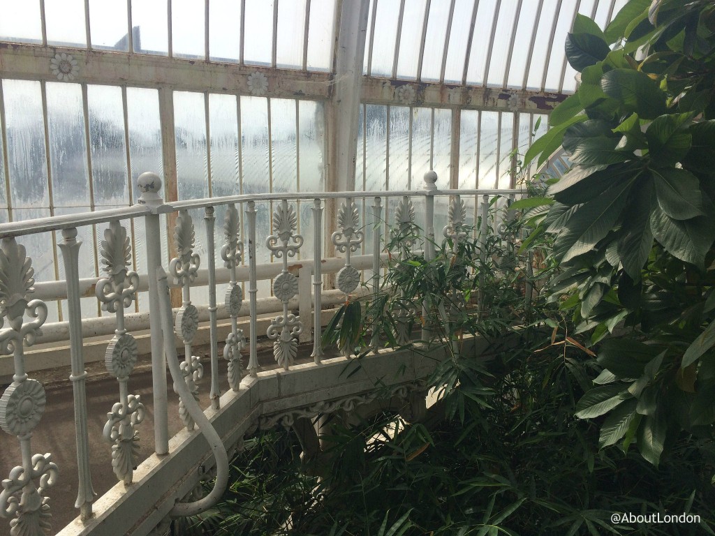 Kew Gardens Palm House high walkway