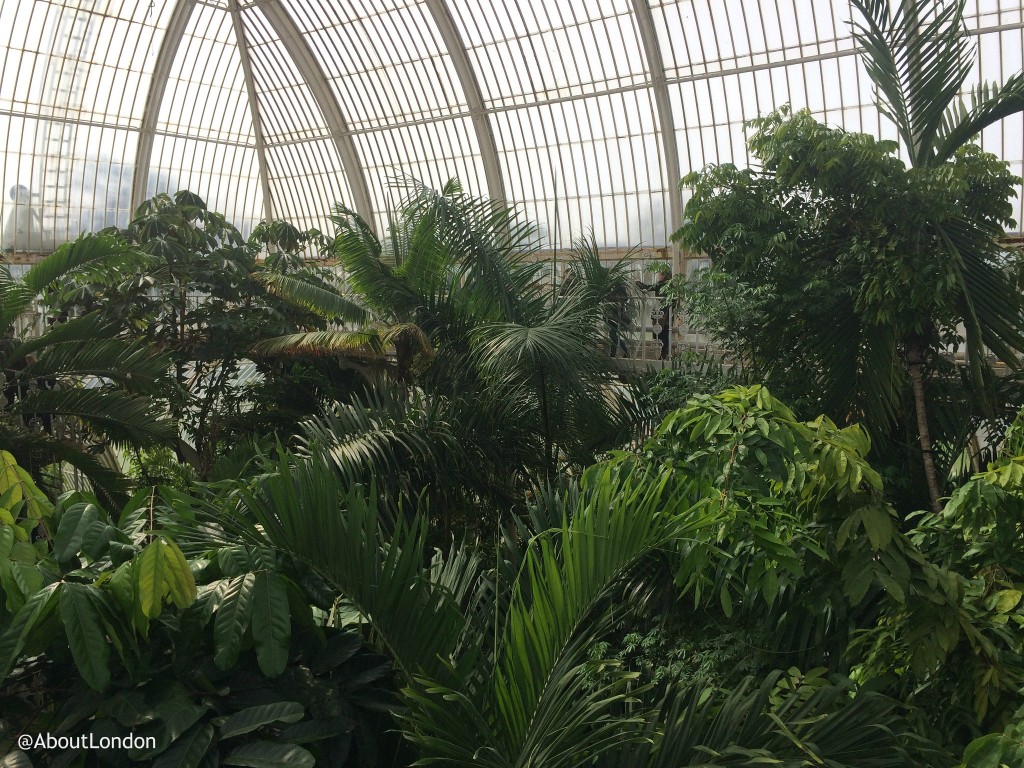 Kew Gardens Palm House