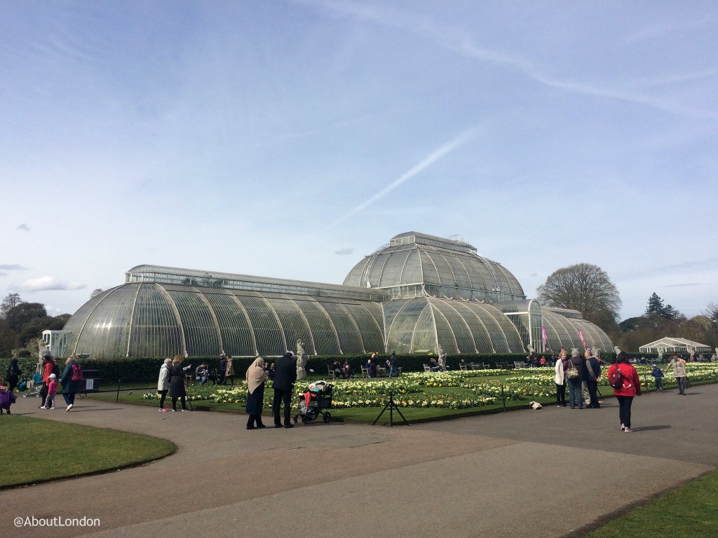 Kew Gardens Palm House