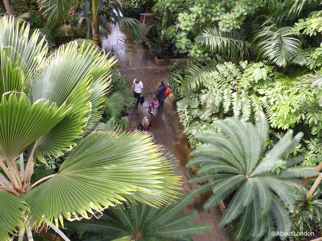 Kew Gardens Palm House