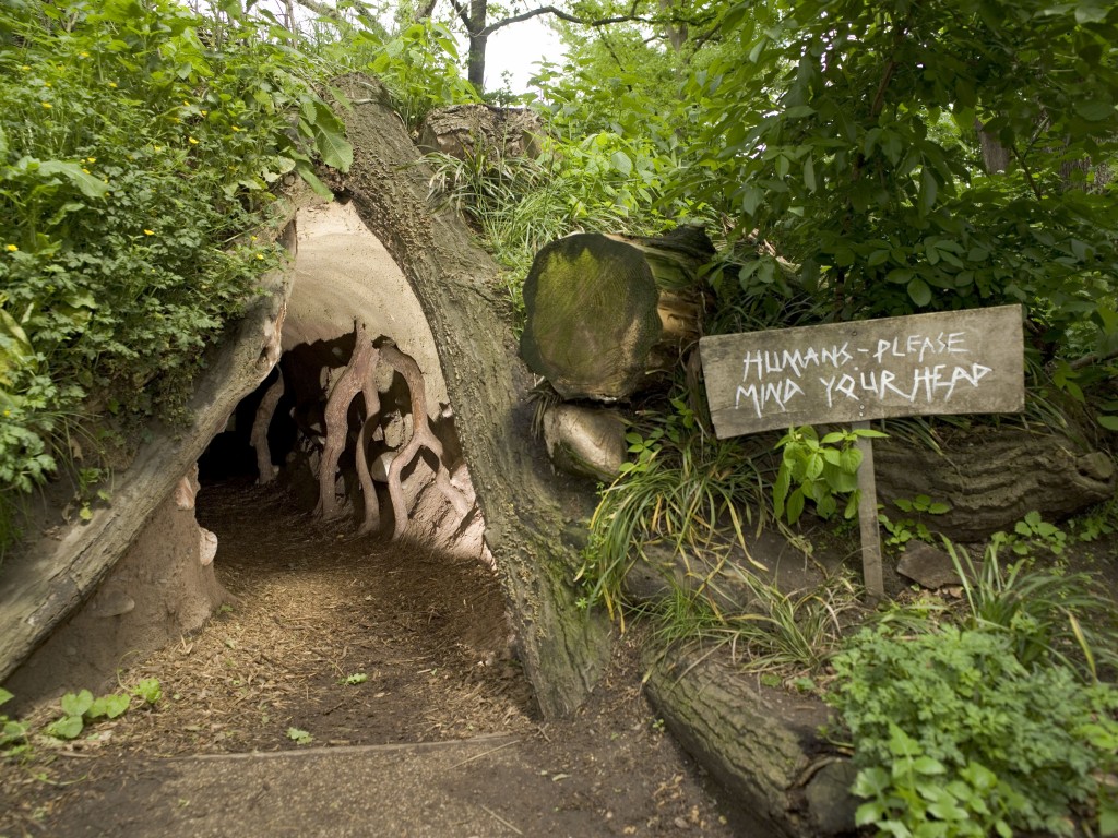 Kew Gardens Badger Sett