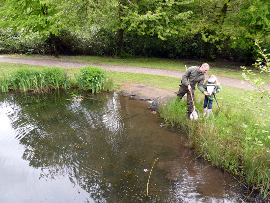 Bryngarw Country Park