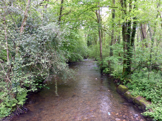 The river at Bryngarw Country Park