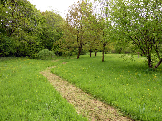 A gentle stroll at Bryngarw Country Park