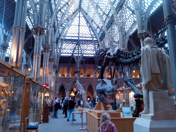 Oxford University Museum of Natural History