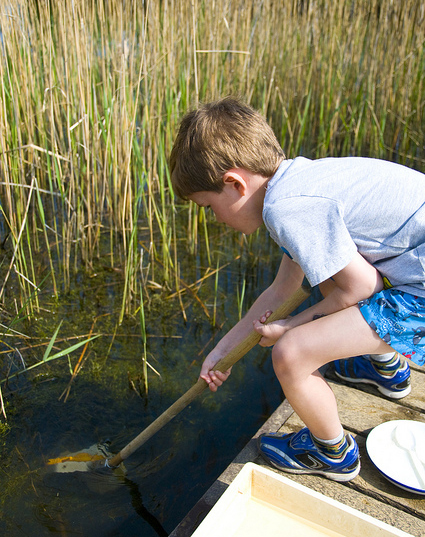 Pond dipping - 50 Things to Do Before You’re 11¾