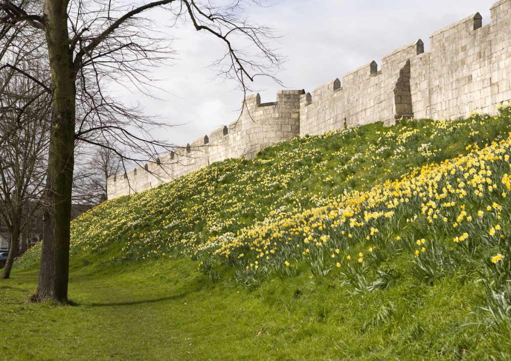 York City Walls