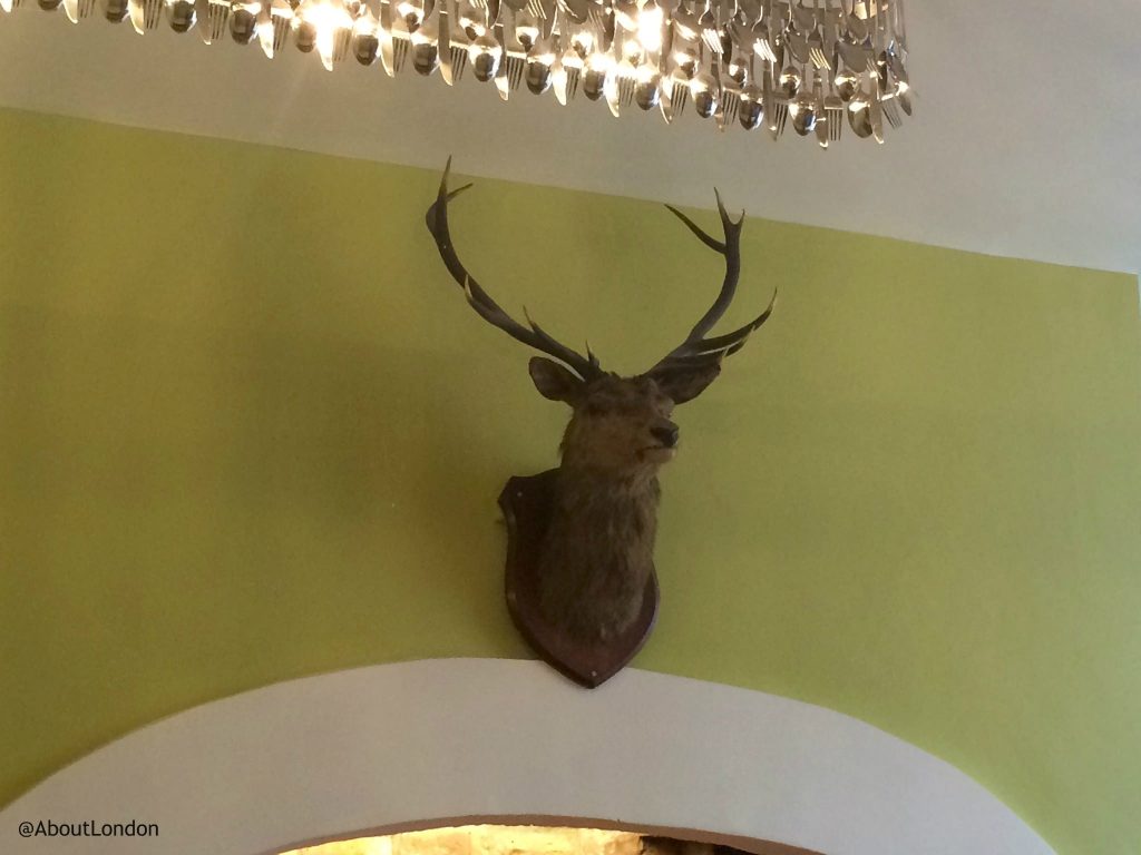 Safestay York dining room stag