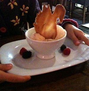 Wonderful attention to detail: the ice-cream wafer was swan shaped!
