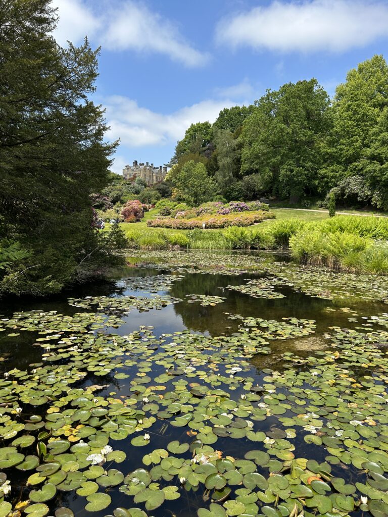 Scotney Castle